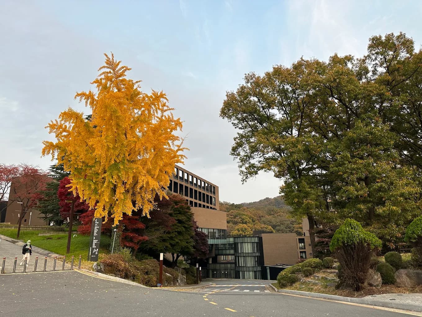 Toàn cảnh trường đại học Daejeon