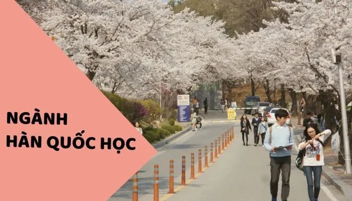 Ngành Hàn Quốc học và cơ hội nghề nghiệp